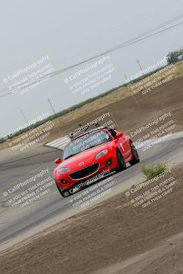 media/Jul-31-2022-Speed Ventures (Sun) [[bfb4b6530b]]/Black Group/Grapevine/